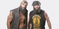 So...apparently this is the wrong image for WWEâs fans...makes total sense, right?